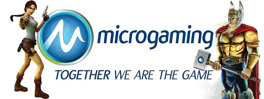 Microgaming No Longer Accepting US Players