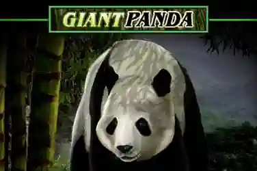 Untamed giant panda