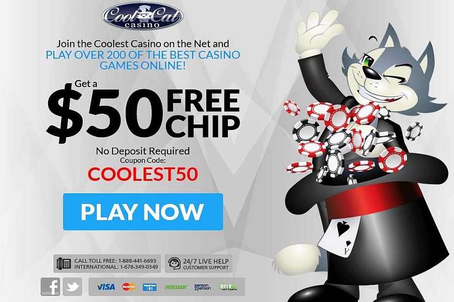 Cool Cat Casino 50 No Deposit Bonus