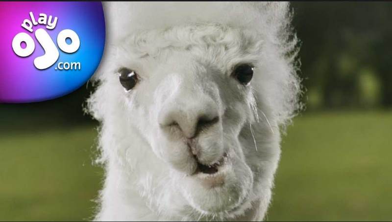 PlayOJO launches Find Your OJO UK TV ad campaign