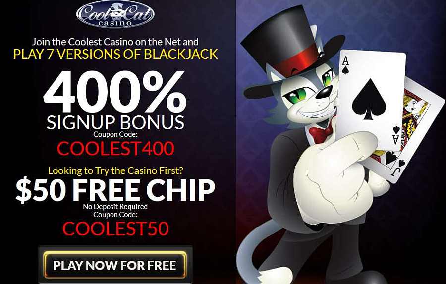 Cool Cat Casino No Deposit Bonus Codes