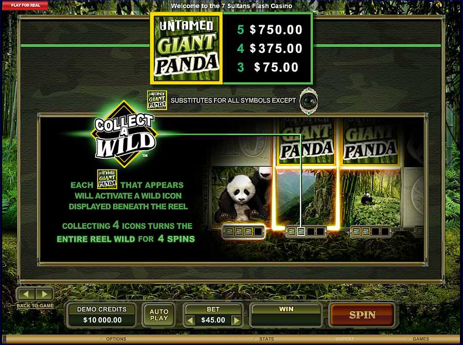 Untamed Giant Panda Collect Wild Feature