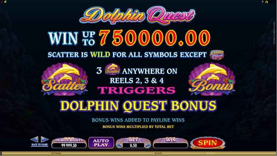 Dolphin Quest Bonus Symbols