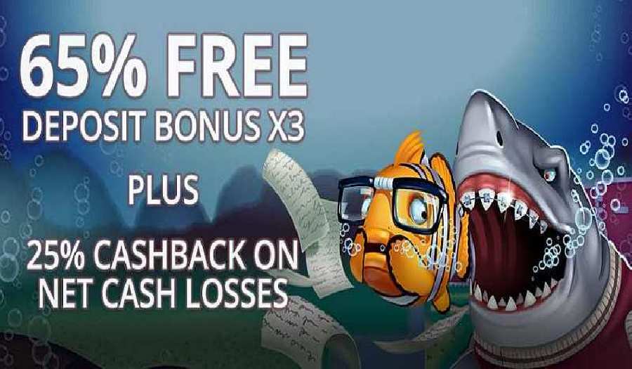 Understanding CashBack Casinos & Bonuses