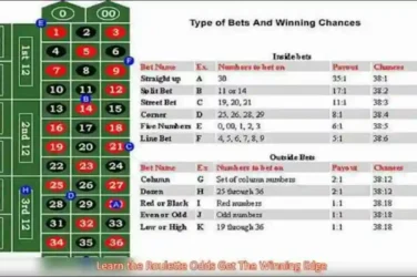 Learn the Roulette Odds