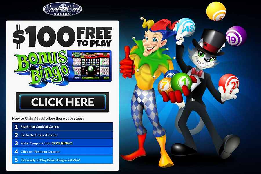 free spins cool cat casino