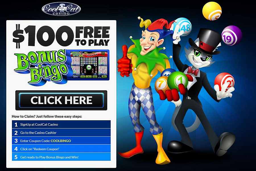 cool cat casino free bonus codes 2024