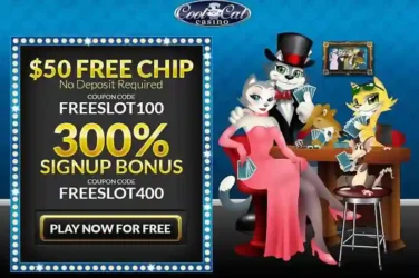 cool cat FREESLOT100