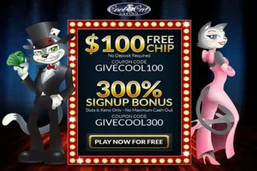 Cool Cat No Deposit Code GIVECOOL100