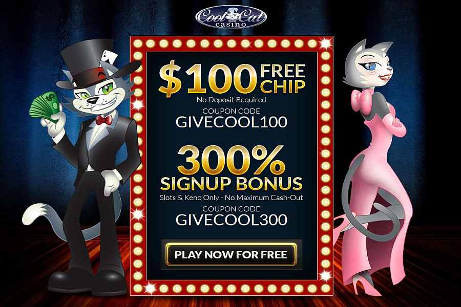 Cool Cat No Deposit Code GIVECOOL100