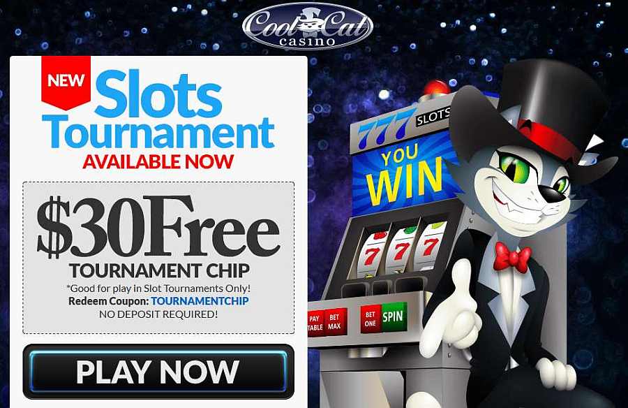 Cool Cat No Deposit slots Tournament Bonus