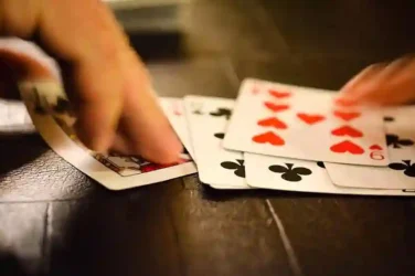 Why We Love gambling