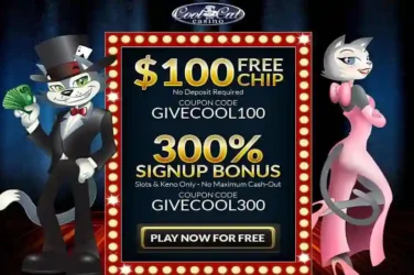 Cool Cat Casino Sign up bonus Code