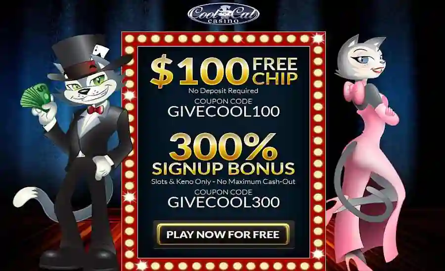 Cool Cat Casino Sign up bonus Code