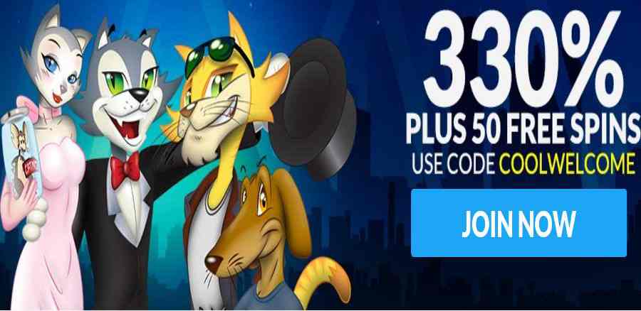 cool cat casino mobile app