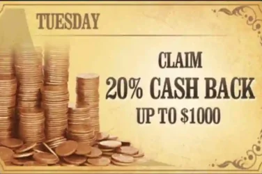 High Noon Cash Back Bonus