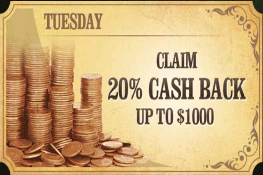 High Noon Cash Back Bonus