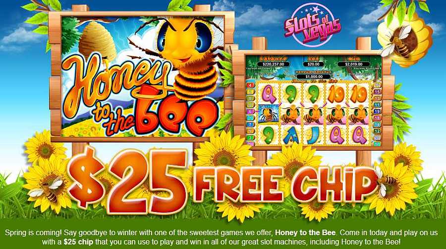 Slots of Vegas No Deposit Bonus Code