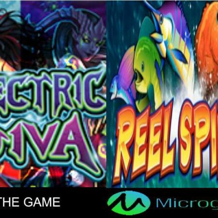 Microgaming Releases Electric Diva & Reel Spinner Slots