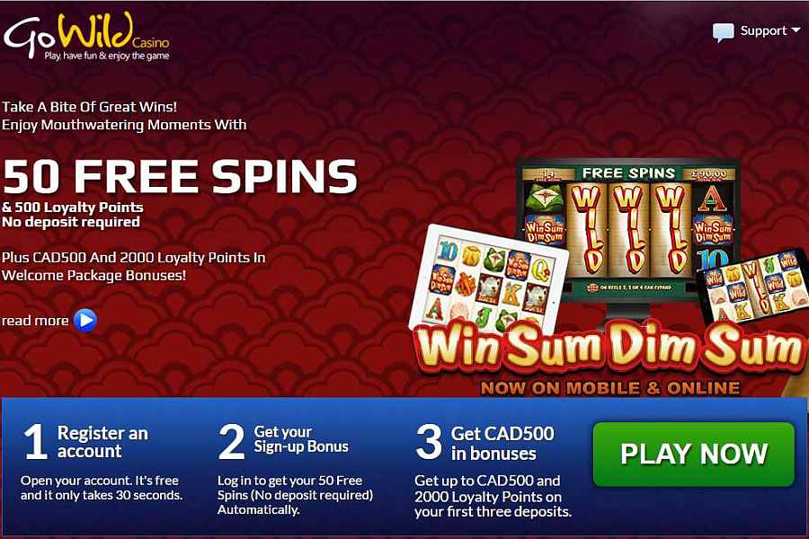 GoWild Win Sum Dim Sum Bonus