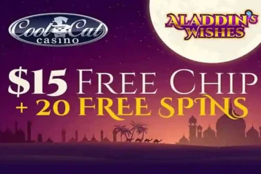 Cool Cat Aladdin's Wishes Bonus Code