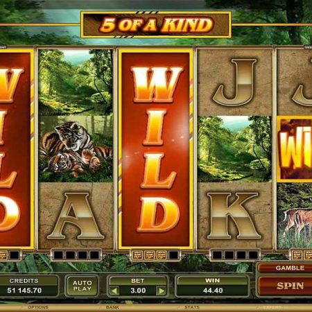 What are Wild Symbols in Slot Games?