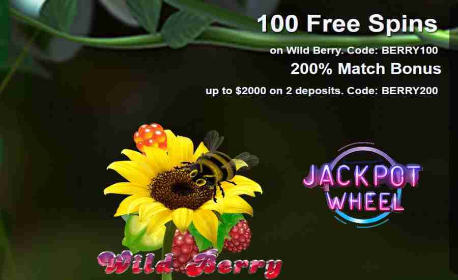 100 Wild Berry Free Spins Jackpot Wheel