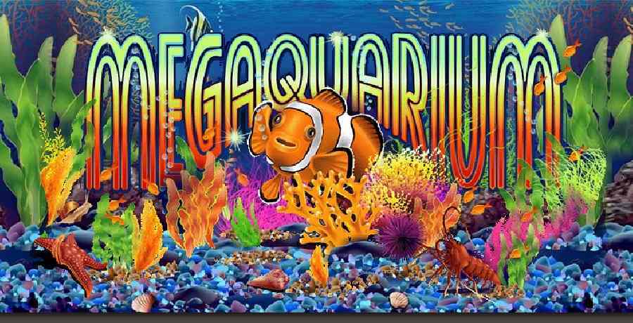 Jackpot Capital Megaquarium Bonus Code