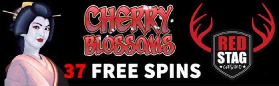 Red Stag Cherry Blossom Bonus Codes