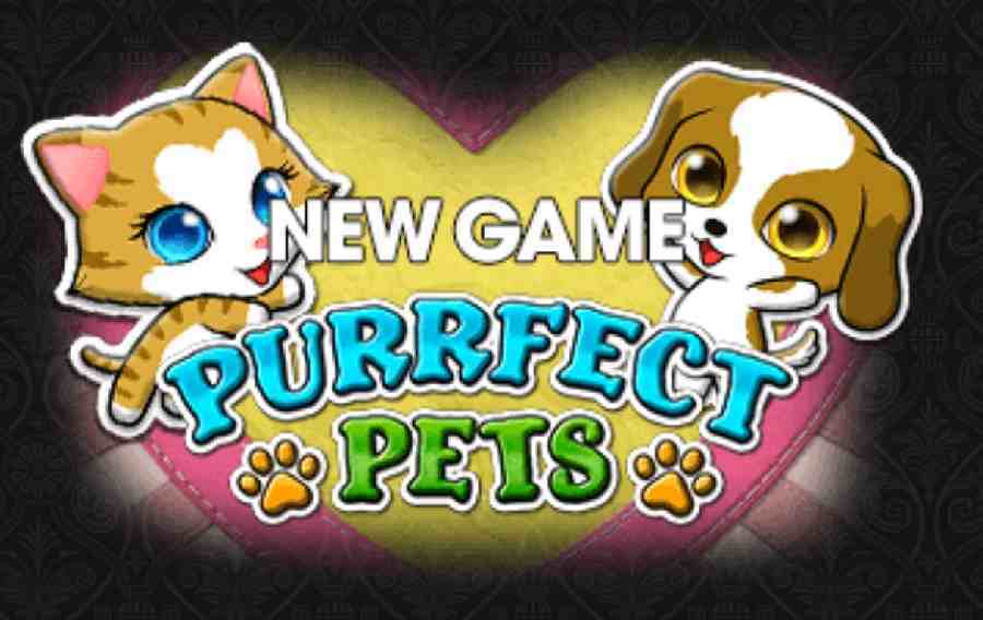 Intertops Purrfect Pets Bonus Code PURRFECT