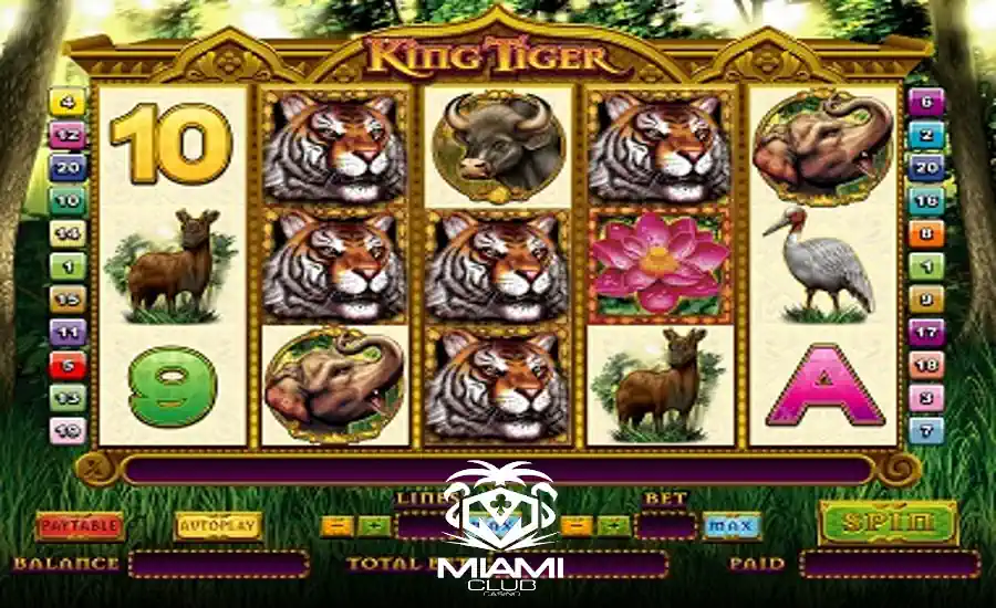 Miami Club 40 Free Spins King Tiger