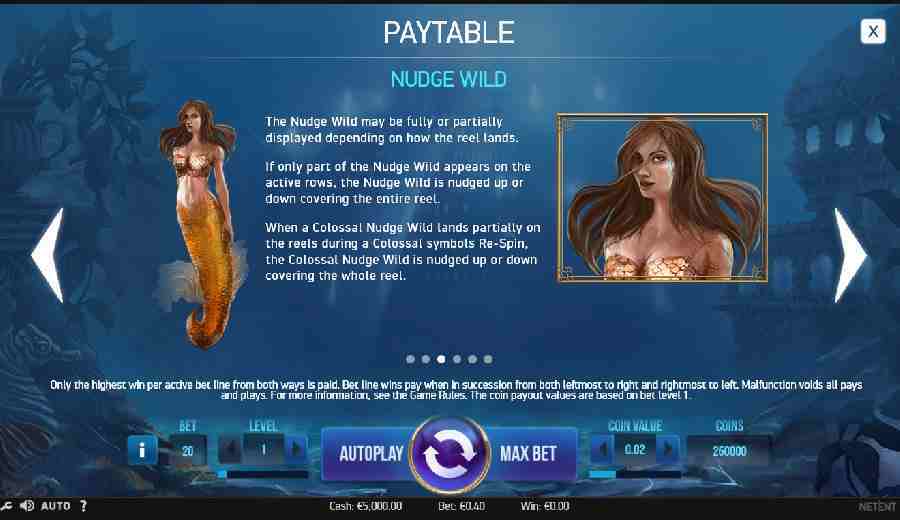 Nudge Wild Paytable