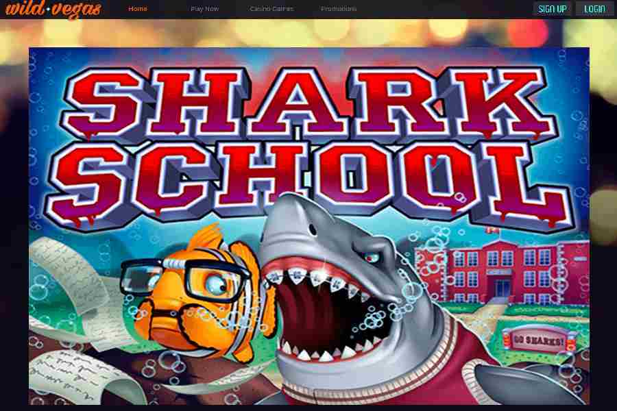 Wild Vegas Shark School Code GU96P