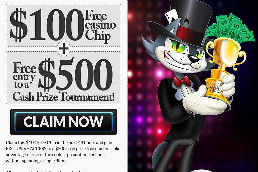 cool cat casino free spins bonus codes