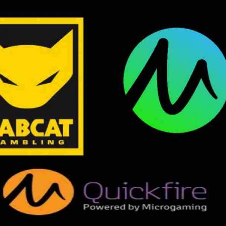 Play Rabcat Slots at Microgaming Casinos