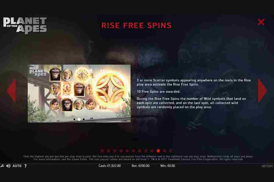 Rise Free Spins