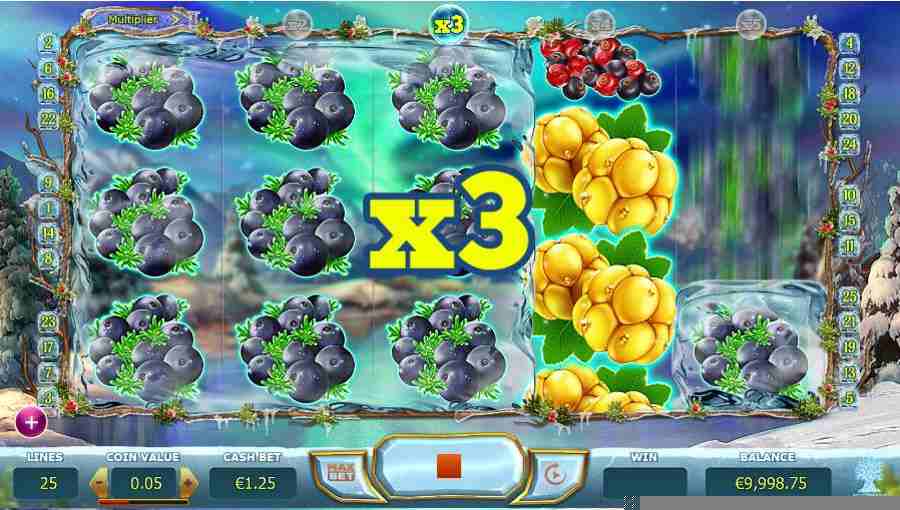 Winter Berries Re Spin 