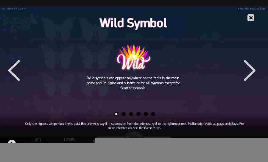  Wild Symbol