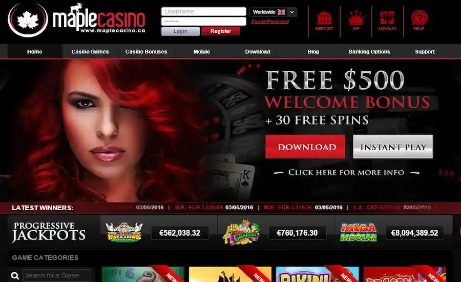 Maple Casino Screenshot