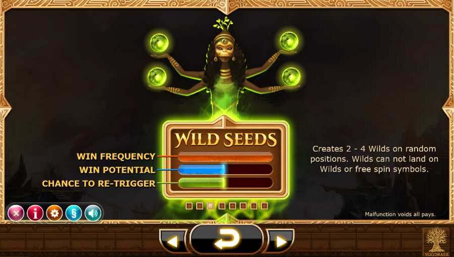 Nirvana Wild Seeds Feature