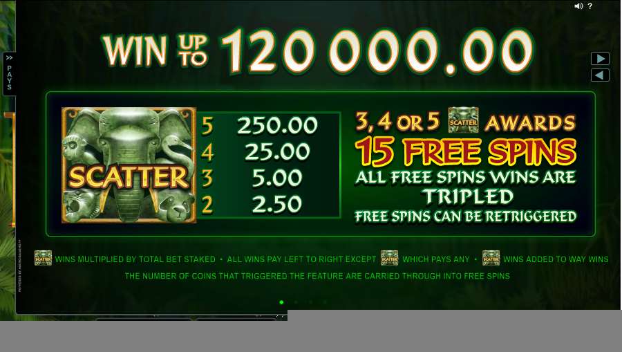 Wild Orient Scatter Symbol Tiggers Free Spins Paytable