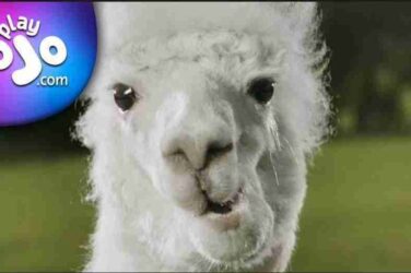 PlayOJO launches Find Your OJO UK TV ad campaign