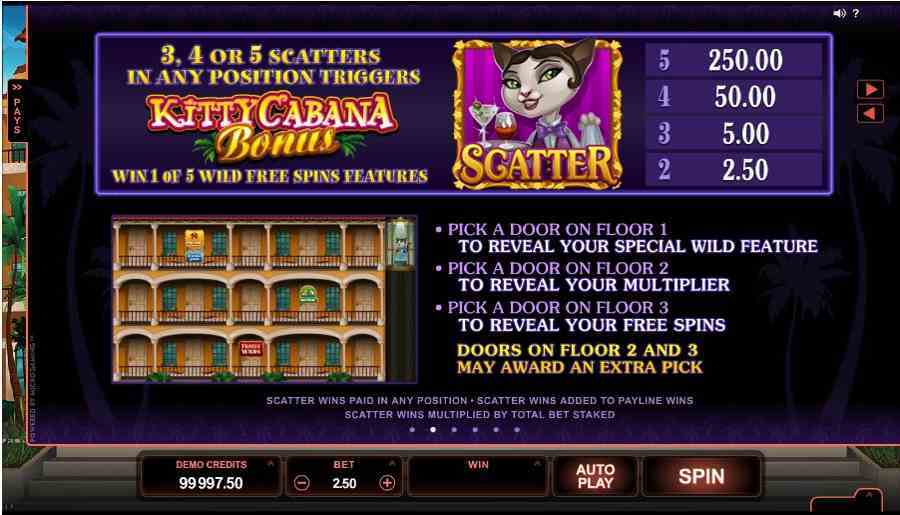 Kitty Cabana Bonus Feature