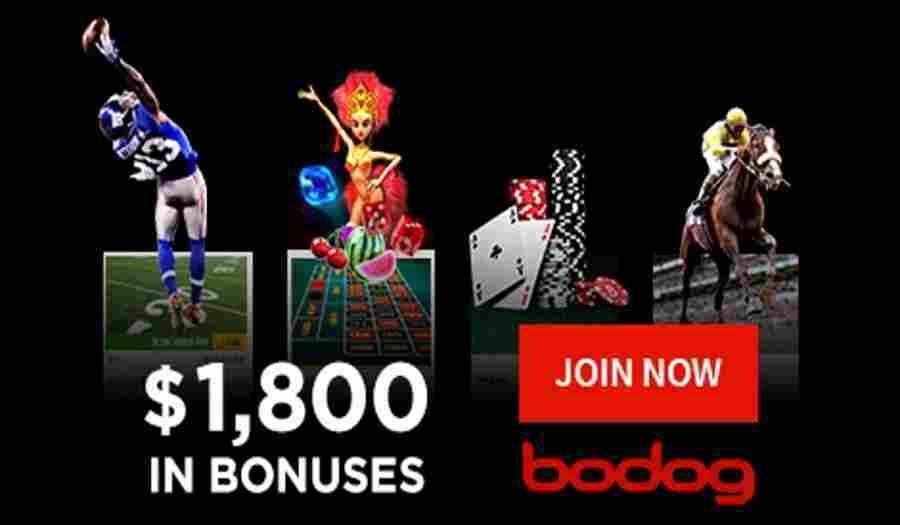 Bodog Trusted Online Sportsbook