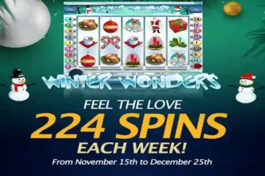 24VIP Casino 224 SPINS Each Week
