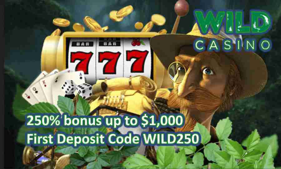 Wild Casino First Welcome bonus