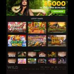 Screenshot Wild Casino