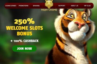 Superior Group acquires 888 Tiger Casino