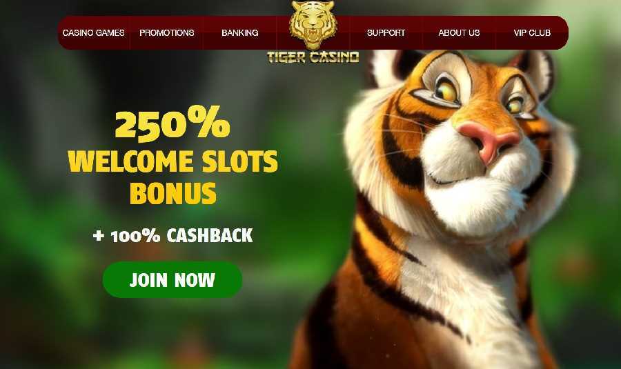 Superior Group acquires 888 Tiger Casino