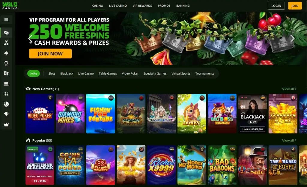 Wild Casino Screenshot